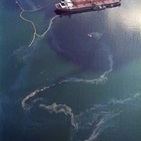 'Fool's errand': Why the Exxon Valdez looms large over northern pipeline debate