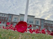 In East Providence, Veterans Day blooms in red clay