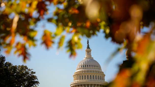 One year out from Election Day 2026, Tuesday’s results could shape 2026 midterms