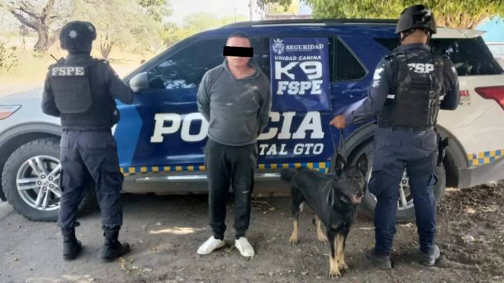 “Gaby”, agente K9, localiza droga en La Arcina; hay un detenido