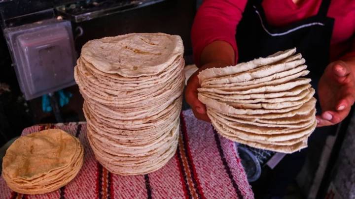 Tortilla de supermercado vs tortillería: ¿Cuál es mejor? Esto dice Profeco