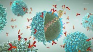 New study shows mRNA vaccine enhances cancer immunotherapy treatment: HealthLink