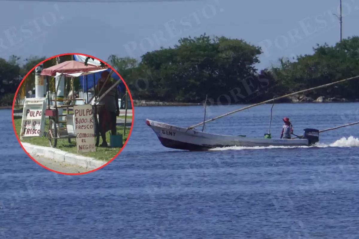 Pulpo al garete: Campeche resiste la baja captura con promedios de 10