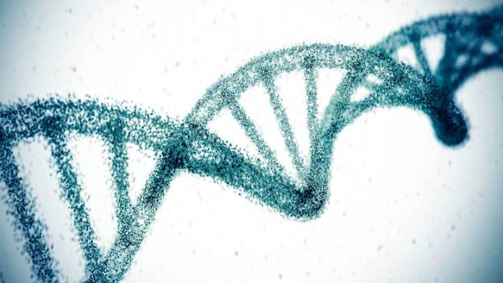 Scientists have edited a gene that may reduce high cholesterol permanently