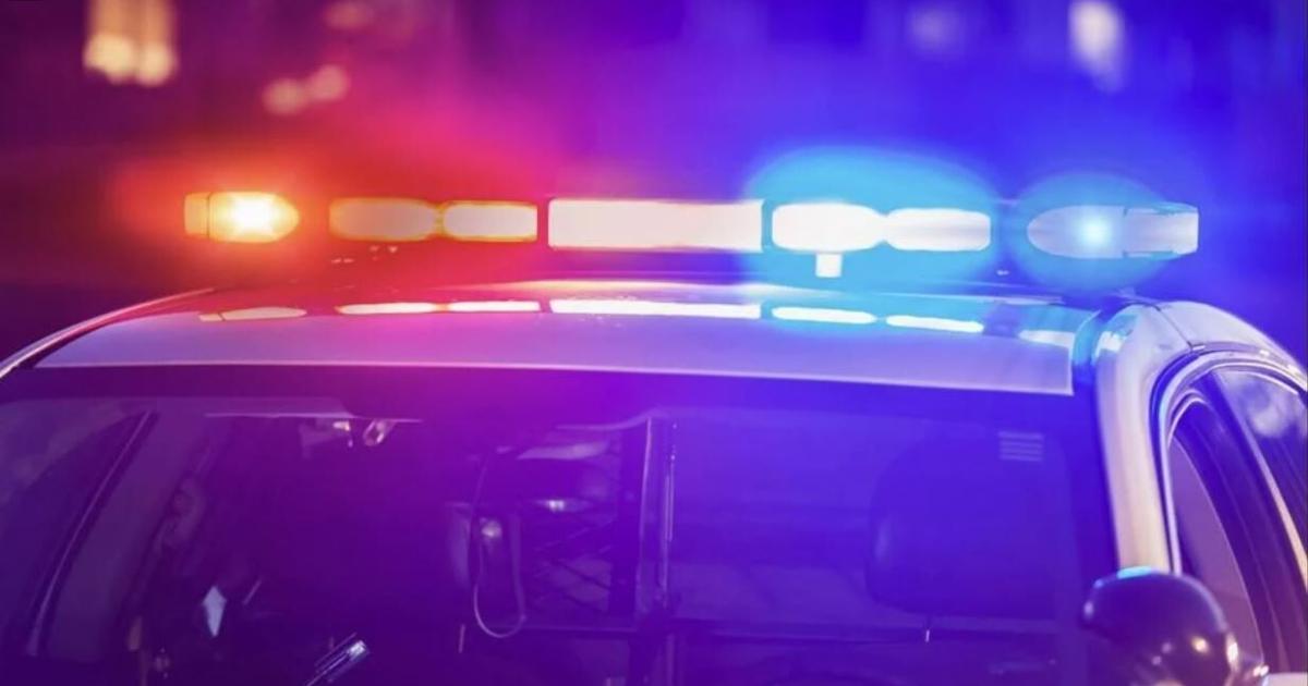 Woman's remains found in garbage bin in Springfield