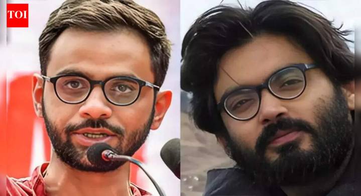 Delhi 2020 riots 'attack on sovereignty': Cops oppose Umar Khalid's bail in SC; next hearing on Nov 20