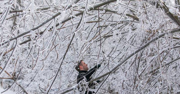 DIRECT APPEAL: Overturn denial of ice storm aid, Bergman, other reps ask Trump