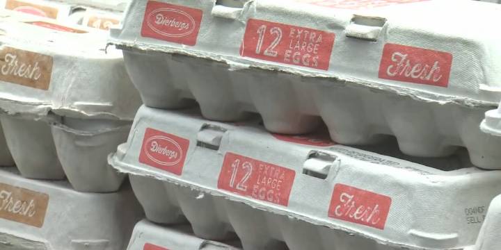 Missouri to issue partial SNAP benefits in November
