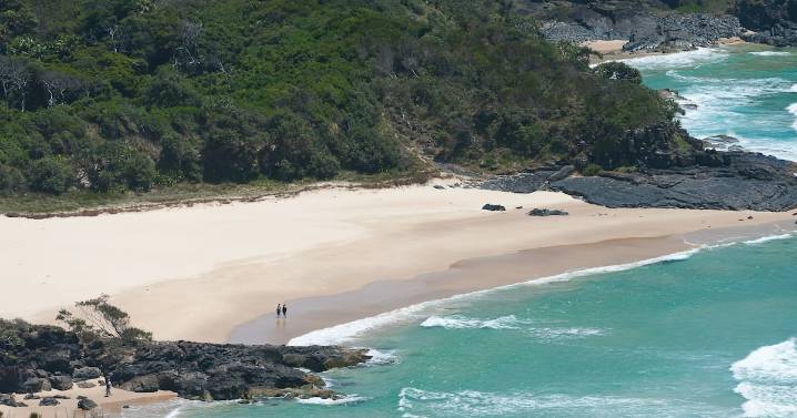 Beachgoers Save Man in Horror Shark Attack in Australia