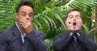 I'm A Celeb's Dec relieves himself in camp loo as he admits 'gotta go somewhere'