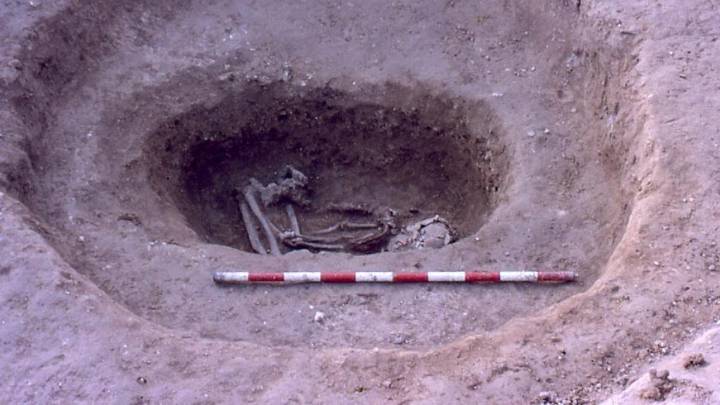 La mula más antigua de Europa Occidental fue enterrada en Barcelona hace más de 2.500 años junto a una joven parcialmente quemada