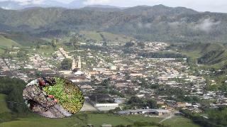 Cuatro muertos por explosión de explosivos en zona rural de Anorí: serían del frente 36