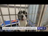 Humane Society of Tampa Bay expands efforts to help families keep pets amid financial struggles