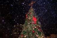 Free and cheap holiday events in Miami-Dade 2025 - South Florida on the Cheap