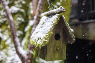 Thousands of Oregonians may be without heat as government shutdown continues