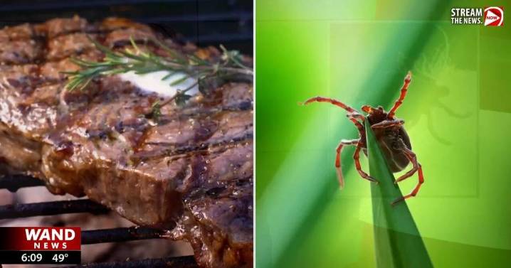 First ever death from meat allergy caused by tick bite reported