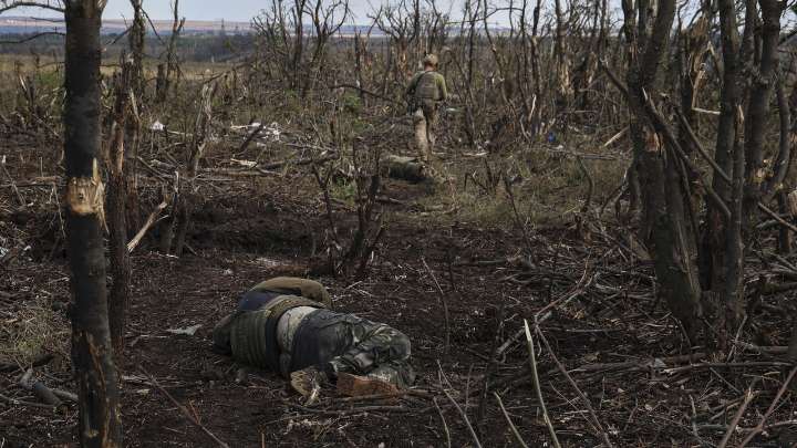 La guerra en activo más larga del mundo: muy pocos la conocen, no es Ucrania ni Gaza y lleva décadas sin un "tratado de paz"