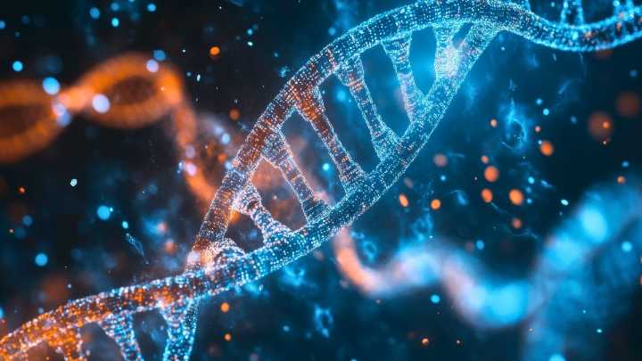 Hundreds of Genes Act Differently in Male vs Female Brains, Scientists Discover