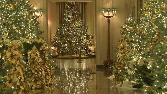 Upstate woman selected as 2025 White House decorator
