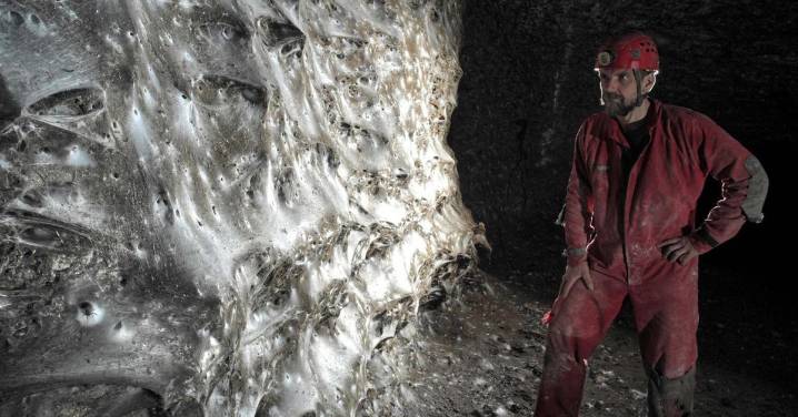 Descubren una telaraña con más de 100.000 arañas de dos especies en una cueva