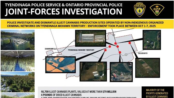 More plants seized, additional charges laid in connection with Tyendinaga Mohawk Territory drug investigation