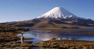 Cómo llegar al Parque Nacional Lauca: guía práctica para visitar uno de los lugares turísticos en Chile más impresionantes