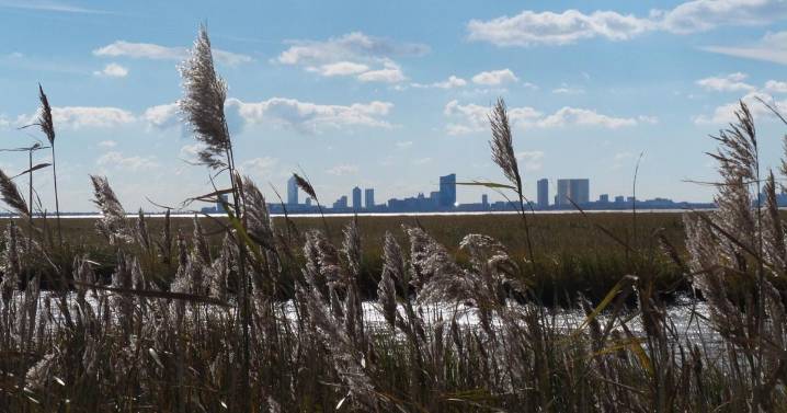 Shutdown ends, but ripples linger at Forsythe Wildlife Refuge