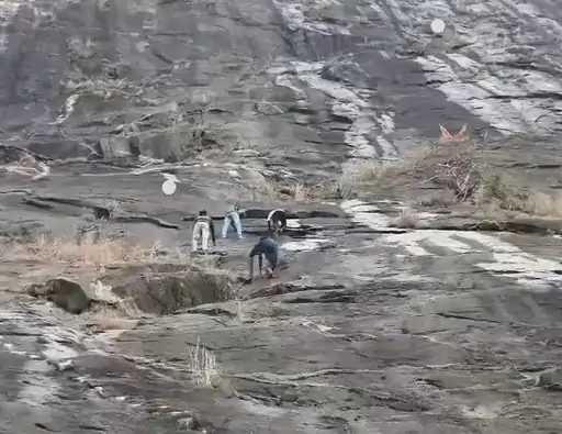 Youths risk lives climbing Mount Girnar off-path; viral video sparks probe