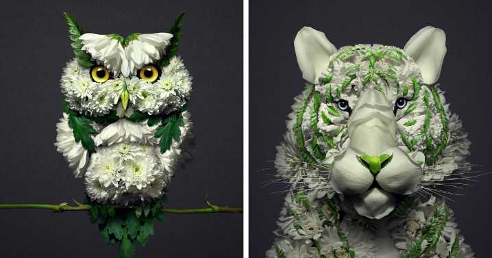 30 Delicate Animal Portraits Created From Things Found In Nature By Raku Inoue