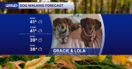 DOG WALKING FORECAST: Windy and much colder with a stray snow shower for some