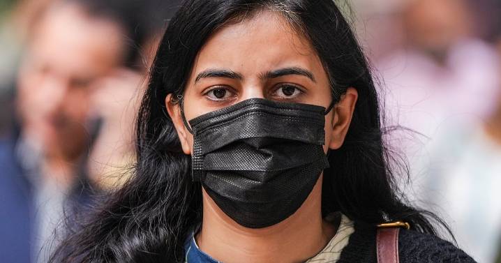 Mumbai Pollution News: Flying Squads, VTMS Vans, Shutdown Warnings — BMC Tightens Rules As AQI Crosses 200