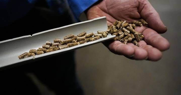 Drax to shut B.C. wood pellet plant by year's end, says not 'commercially viable'