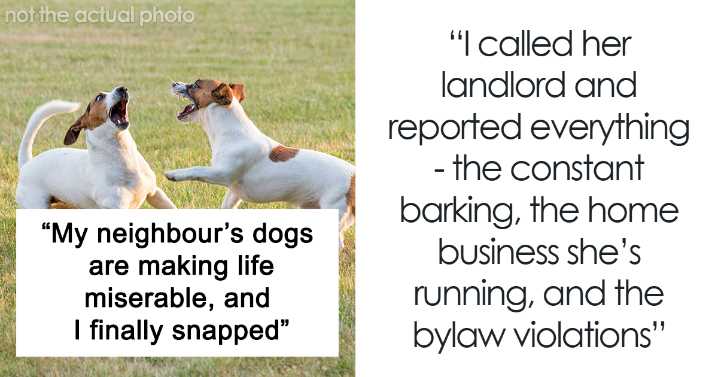 “I Honestly Don’t Feel Bad”: Woman Goes Nuclear On Neighbors Who Can’t Keep Their Dogs Quiet