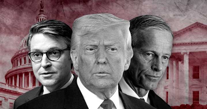 Deal to reopen government falters over Democrats’ distrust of Trump