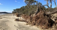 Popham Beach is eroding faster than any other stretch of sand in Maine