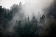 These are the 25 coldest November days on record in Portland