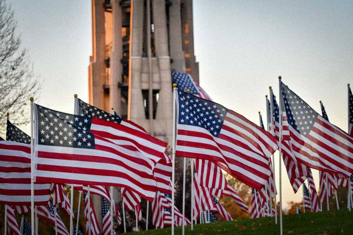 Photo Gallery: Naperville Healing Field of Honor 2025