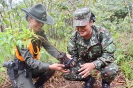 Ejército lidera siembra de 8 mil árboles en jornada ambiental en Meta y Guaviare