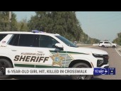 Deputies: 6-year-old killed, her mother and brother hospitalized after family hit in Tampa crosswalk
