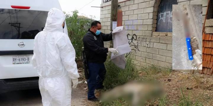 ¡Brutal ataque! Matan a perrita a puñaladas en San Martín Mexicápam