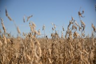 Ozarks drought eases slightly, but conditions remain severe