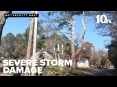 Extreme winds topple trees, power lines in Mattapoisett