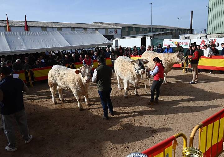Ciudad Rodrigo suspende definitivamente la feria de San Andrés