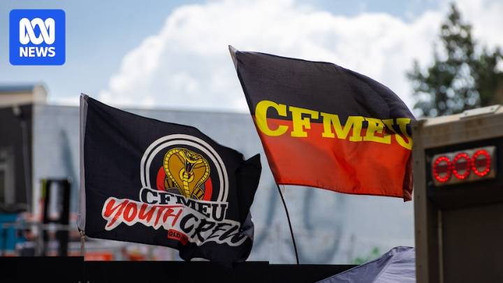 Former CFMEU boss sent abusive text to anti-corruption barrister and offered weight loss advice, inquiry hears