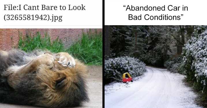 50 Times Wikipedia Pages Cracked People Up So They Had To Share Them Online