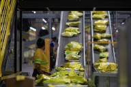 ¿Qué pasa con la acción de Mercado Libre? Por qué la estrella argentina tocó valores de 2021