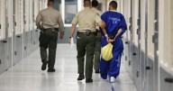Officials question sheriff’s report of no 'substantiated' sex abuse by L.A. jail staff