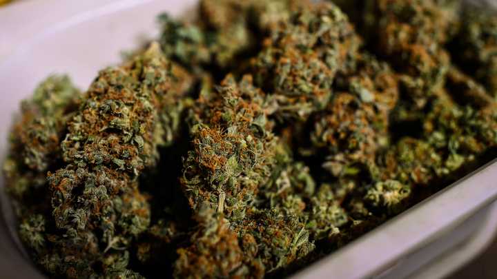 Public consumption of marijuana in Mass.: Cannabis Control Commission vote