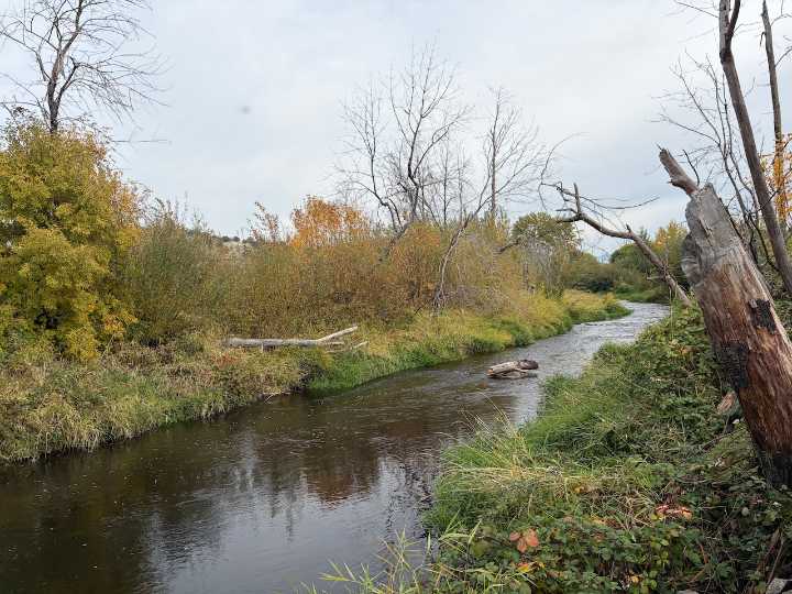 Southern Oregon community marks restoration of 'Miracle Mile' after wildfire