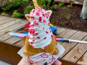 Trendy Japanese ice cream, doughnut shop in Cambridge to close soon